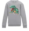 Детский Свитшот Динозавр Рекс Серый меланж фото