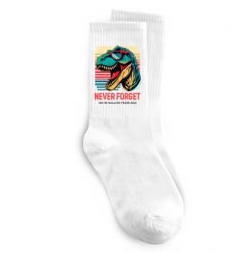 Шкарпетки Динозаври never forget