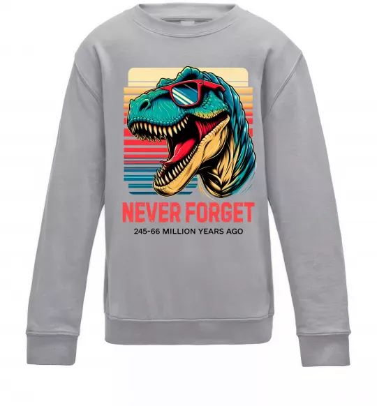 Детский Свитшот Динозаври never forget Серый меланж фото