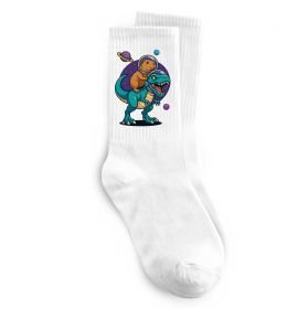 Носки Динозавр та капібара в космосі