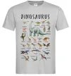 Мужская футболка Види динозаврів Серый фото
