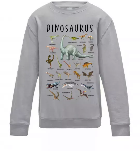 Детский Свитшот Види динозаврів Серый меланж фото