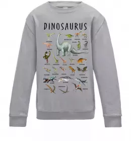 Детский Свитшот Види динозаврів Серый меланж фото
