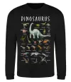 Свитшот Види динозаврів Черный фото
