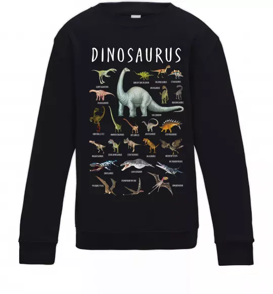 Детский Свитшот Види динозаврів Черный фото