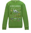 Детский Свитшот Види динозаврів Лаймовый Детский Свитшот Види динозаврів Лаймовый фото