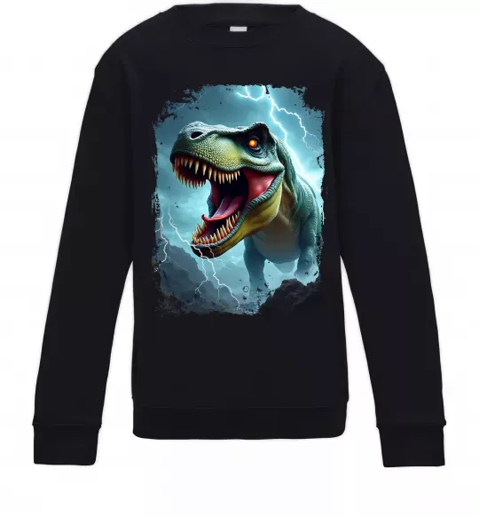 Детский Свитшот Thunder Rex Черный фото