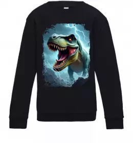 Детский Свитшот Thunder Rex Черный фото