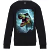 Детский Свитшот Thunder Rex Черный фото