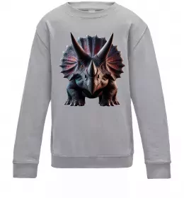 Детский Свитшот Трицератопс Серый меланж фото