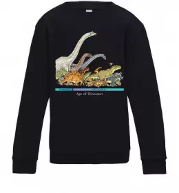 Детский Свитшот Age of dinosaurs Черный фото