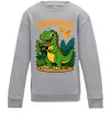 Детский Свитшот Dinosaur Серый меланж фото