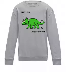 Детский Свитшот Triceratop Серый меланж фото
