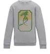 Детский Свитшот The green dragon Серый меланж фото