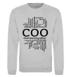 Світшот COO Сірий меланж фото