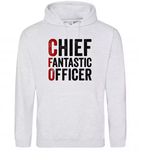 Чоловіча толстовка (худі) CFO Сірий меланж фото