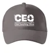 Кепка CEO Сірий фото