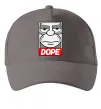 Кепка Dope Гомер Сірий фото