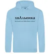 Жіноча толстовка (худі) ХвАльонка Блакитний фото