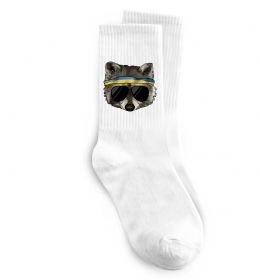 Носки Єнот в окулярах з прапором