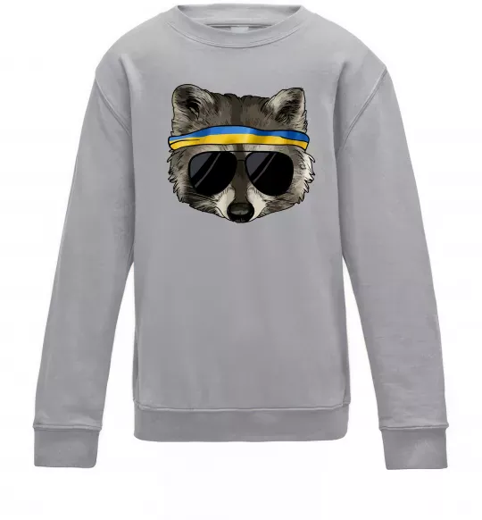 Детский Свитшот Єнот в окулярах з прапором Серый меланж фото
