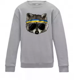 Дитячий світшот Єнот в окулярах з прапором Сірий меланж фото