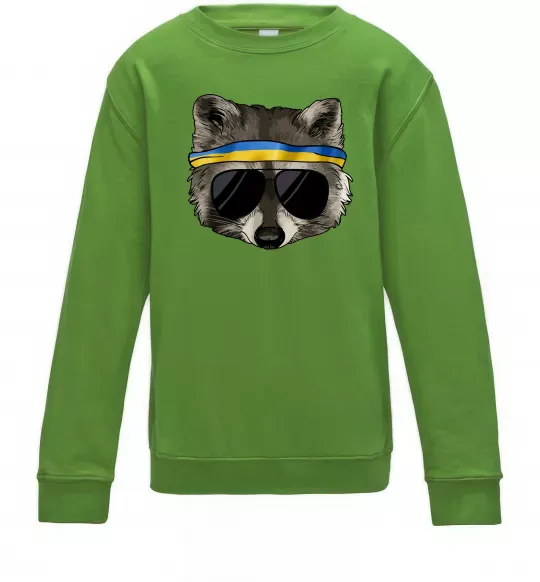 Детский Свитшот Єнот в окулярах з прапором Лаймовый фото