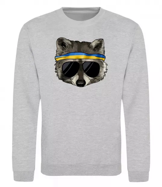 Свитшот Єнот в окулярах з прапором Серый меланж фото