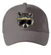 Кепка Єнот в окулярах з прапором Сірий фото