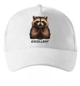Кепка Єнот excellent