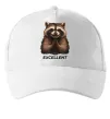 Кепка Єнот excellent Белый фото