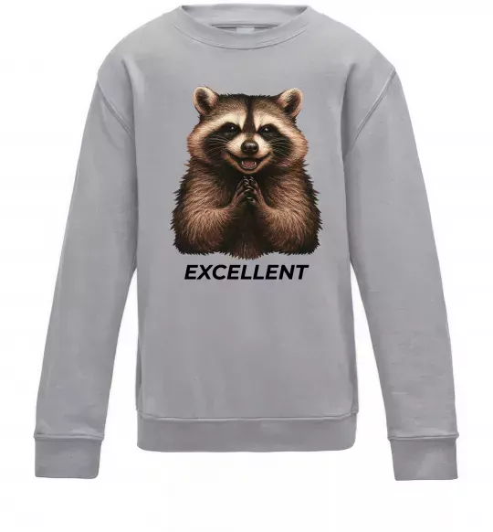 Детский Свитшот Єнот excellent Серый меланж фото