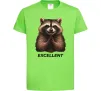 Детская футболка Єнот excellent Лаймовый фото