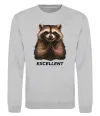 Свитшот Єнот excellent Серый меланж фото