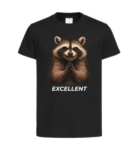 Детская футболка Єнот excellent Черный фото