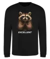 Свитшот Єнот excellent Черный фото