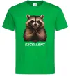 Мужская футболка Єнот excellent Зеленый фото