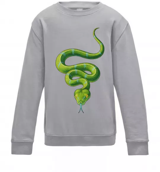 Детский Свитшот Зелена змія Серый меланж фото