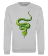 Свитшот Зелена змія Серый меланж фото