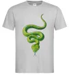 Мужская футболка Зелена змія Серый фото