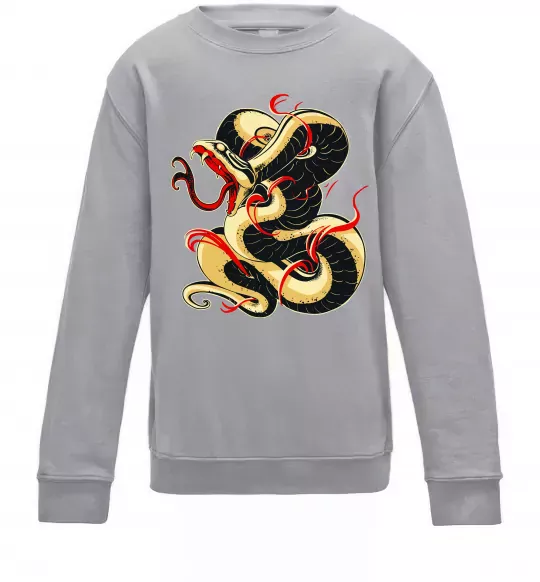 Детский Свитшот Змія малюнок Серый меланж фото