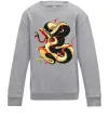Детский Свитшот Змія малюнок Серый меланж фото