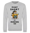 Світшот Minion size Сірий меланж фото