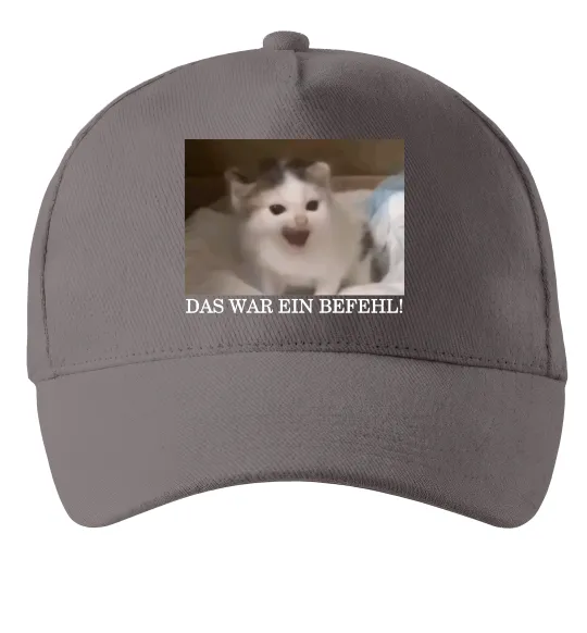 Кепка Das war ein Befehl Сірий фото