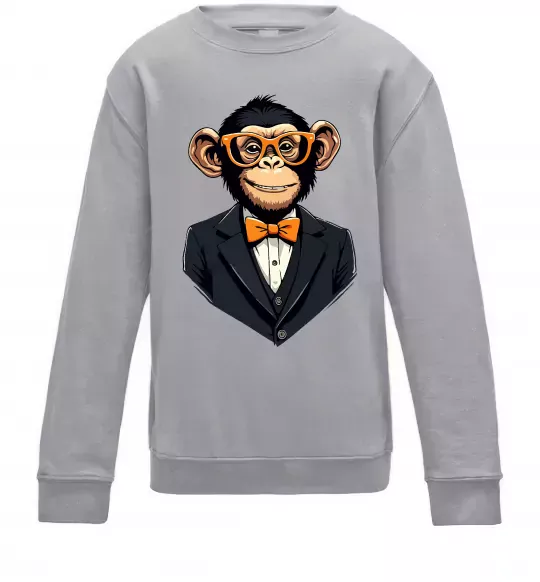 Детский Свитшот Шимпанзе діловий Серый меланж фото