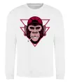 Свитшот Cool monkey Белый фото