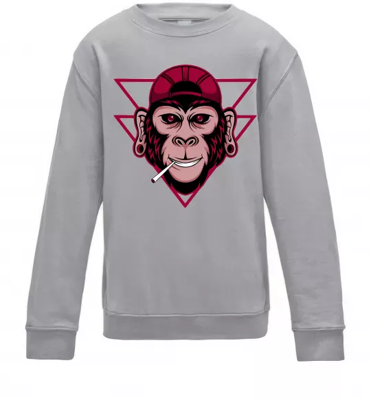 Детский Свитшот Cool monkey Серый меланж фото