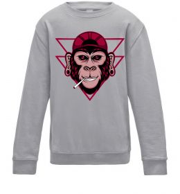 Дитячий світшот Cool monkey