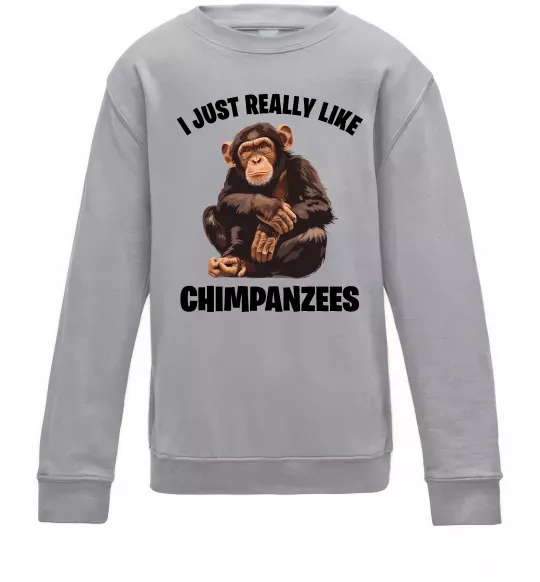 Детский Свитшот I really like chimpanzees Серый меланж фото
