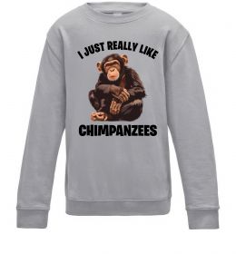 Детский Свитшот I really like chimpanzees